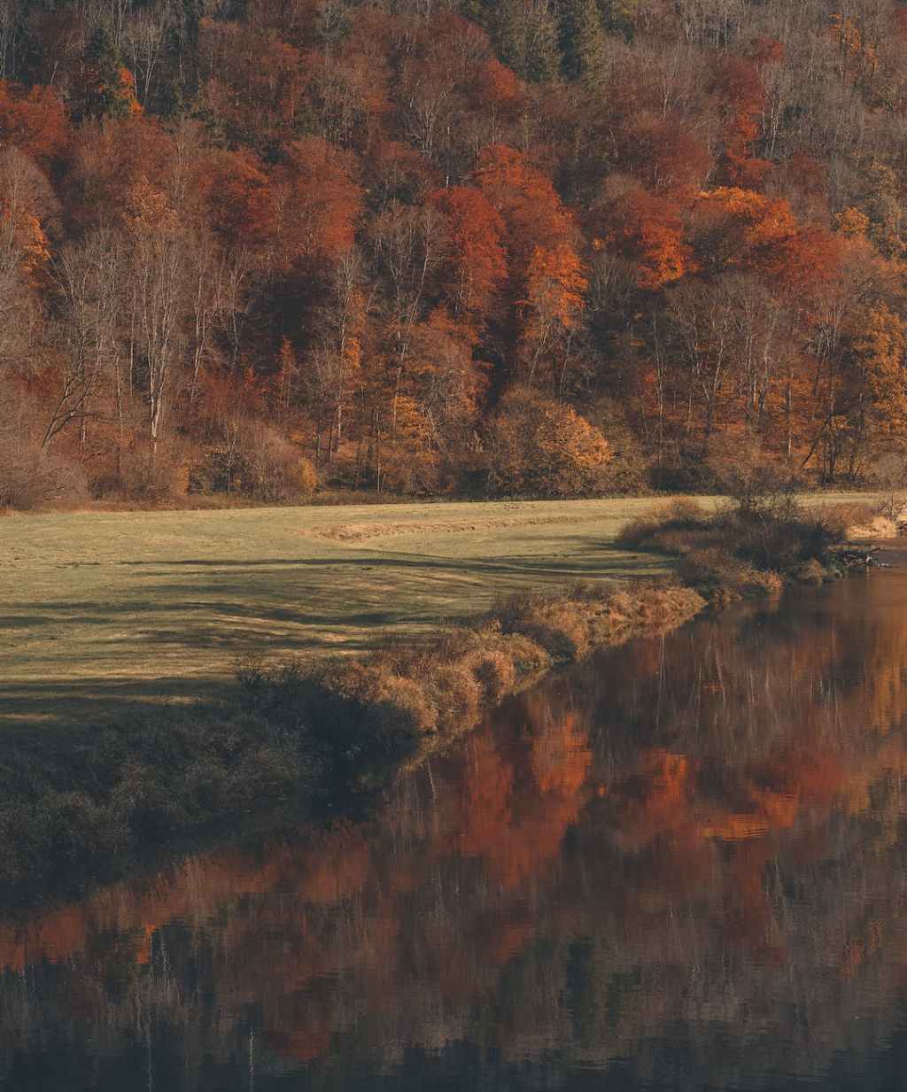 Editor’s Letter / November&nbsp;2022